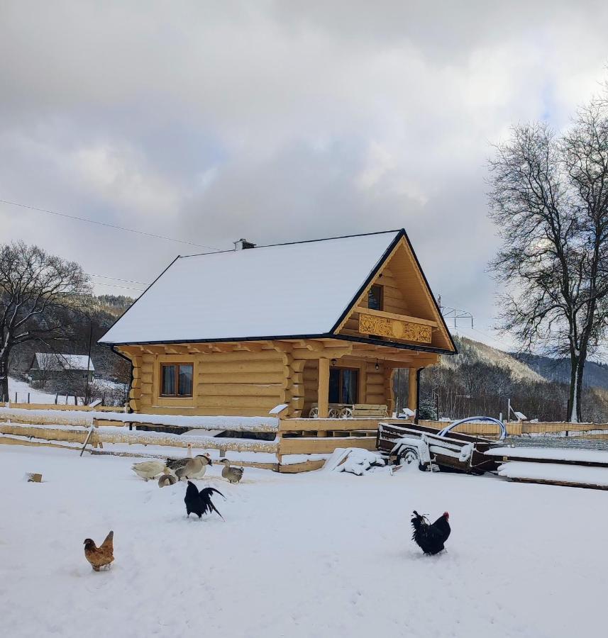 Sudecki Dym Z Kominkiem Kolo Karpacza. Agroturystyka Janowice Wielkie Dış mekan fotoğraf