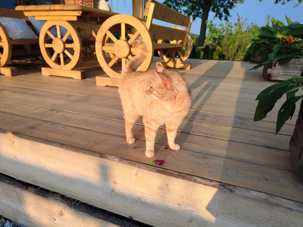 Sudecki Dym Z Kominkiem Kolo Karpacza. Agroturystyka Janowice Wielkie Dış mekan fotoğraf