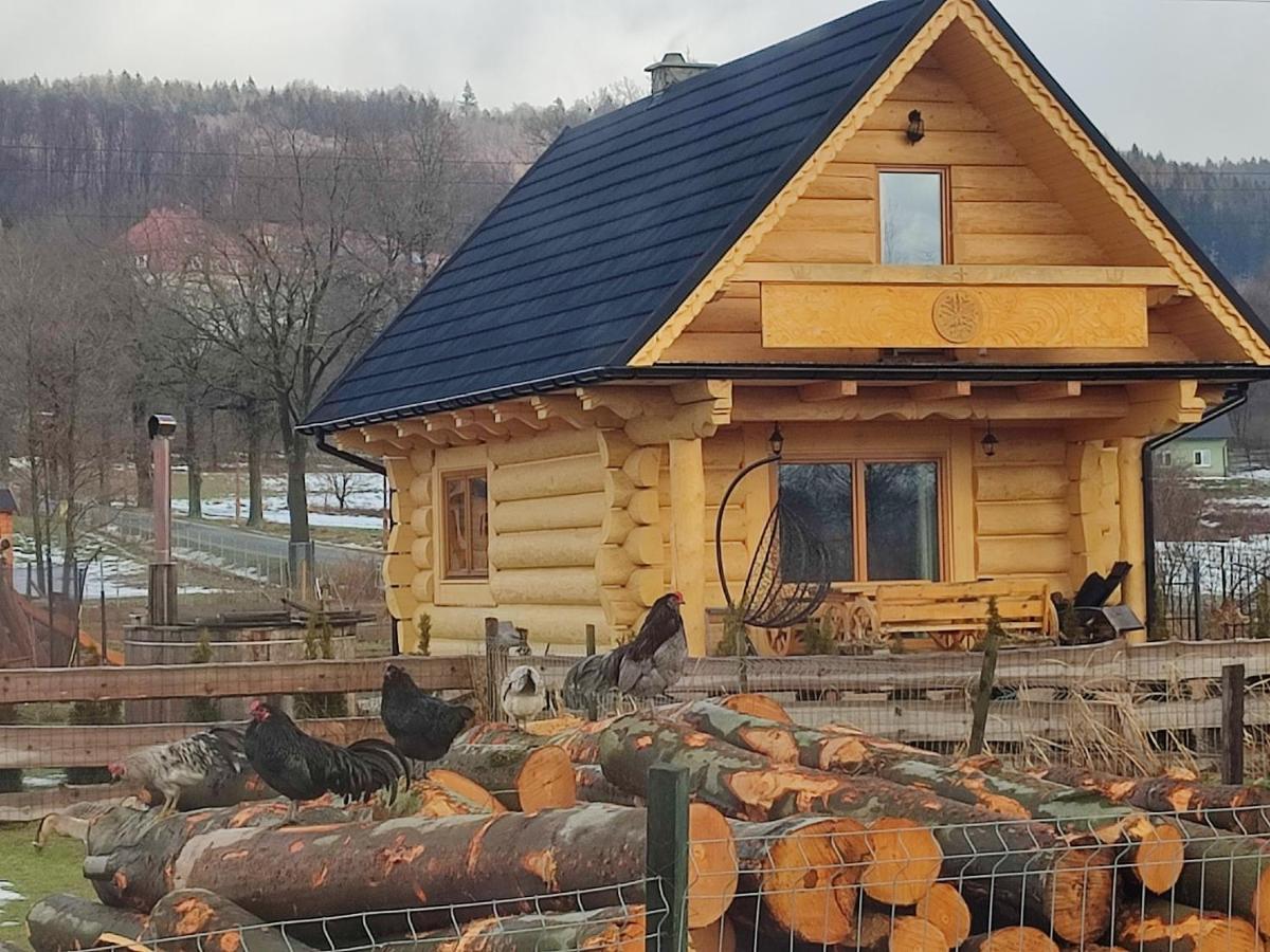 Sudecki Dym Z Kominkiem Kolo Karpacza. Agroturystyka Janowice Wielkie Dış mekan fotoğraf