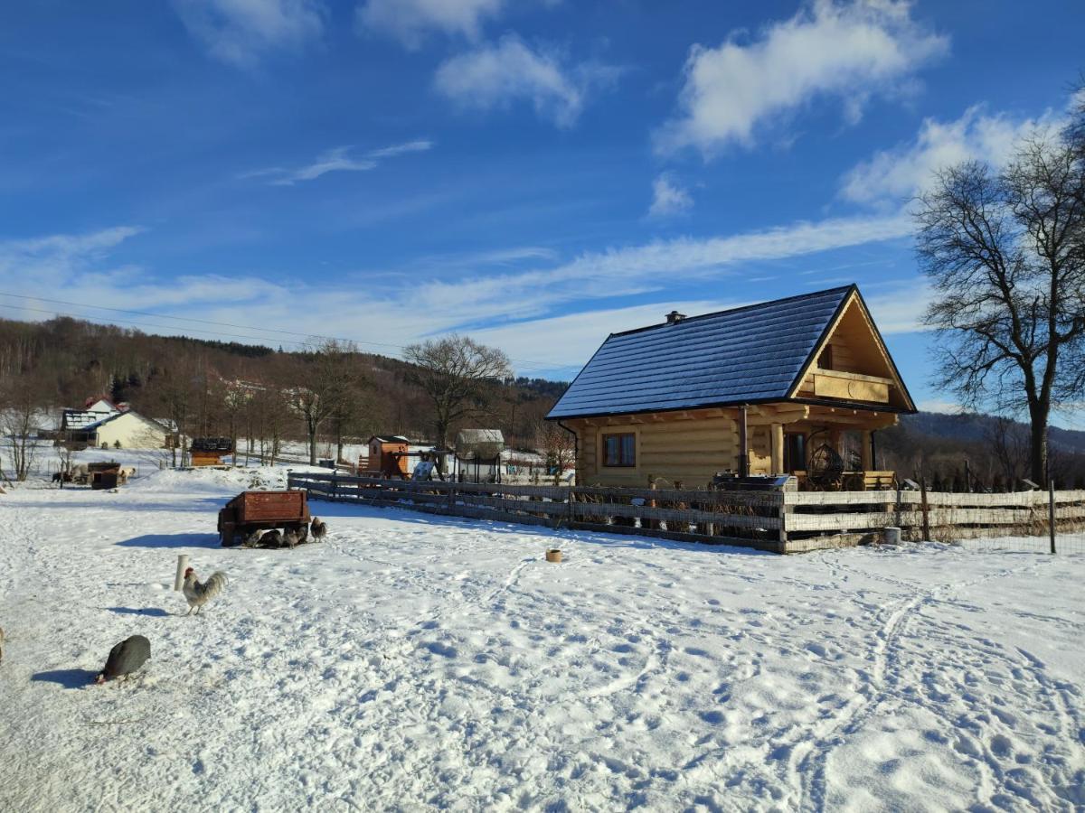Sudecki Dym Z Kominkiem Kolo Karpacza. Agroturystyka Janowice Wielkie Dış mekan fotoğraf