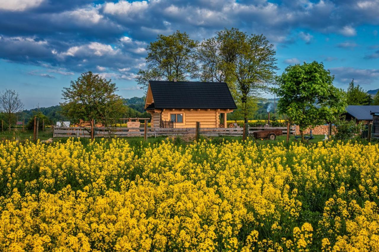 Sudecki Dym Z Kominkiem Kolo Karpacza. Agroturystyka Janowice Wielkie Dış mekan fotoğraf