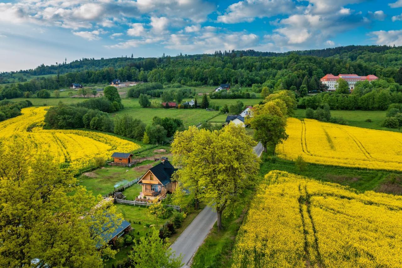 Sudecki Dym Z Kominkiem Kolo Karpacza. Agroturystyka Janowice Wielkie Dış mekan fotoğraf